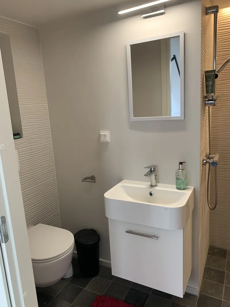 Kambarys nr. 7, privataus sanmazgo detalė su kriaukle ir veidrodžiu